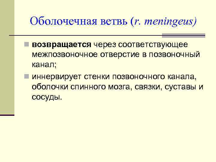 Оболочечная ветвь (r. meningeus) n возвращается через соответствующее межпозвоночное отверстие в позвоночный канал; n