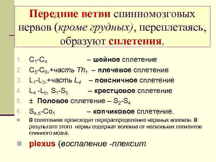 Передние ветви спинномозговых нервов (кроме грудных), переплетаясь, образуют сплетения. 1. 2. 3. 4. 5.