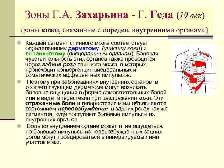 Захарьина тесты