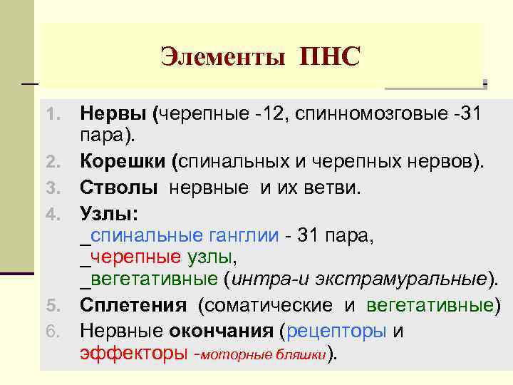 Элементы ПНС 1. 2. 3. 4. 5. 6. Нервы (черепные -12, спинномозговые -31 пара).