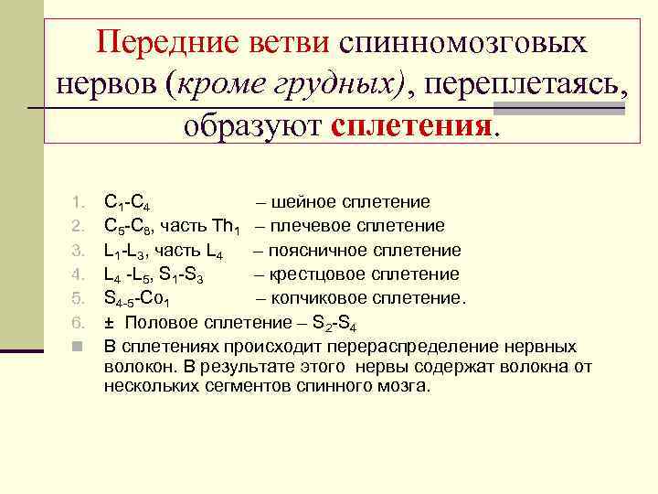 Передние ветви спинномозговых нервов (кроме грудных), переплетаясь, образуют сплетения. 1. 2. 3. 4. 5.