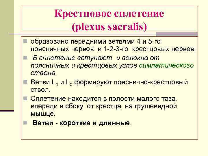 Крестцовое сплетение (plexus sacralis) n образовано передними ветвями 4 и 5 -го n n