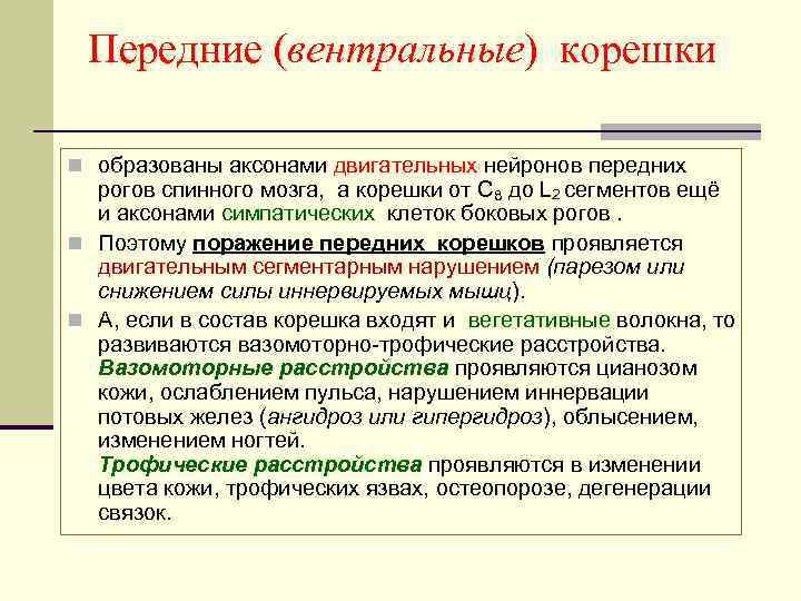 Передние (вентральные) корешки n образованы аксонами двигательных нейронов передних рогов спинного мозга, а корешки