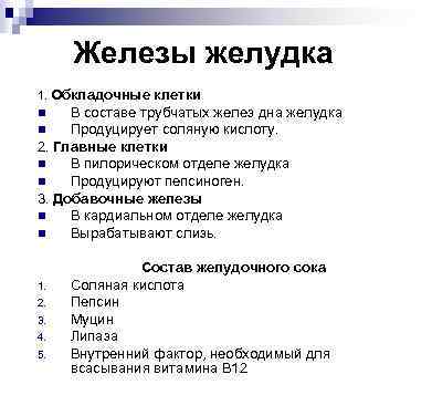 Железы желудка 1. Обкладочные клетки В составе трубчатых желез дна желудка n Продуцирует соляную