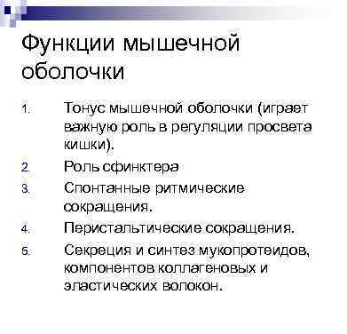 Функции мышечной оболочки 1. 2. 3. 4. 5. Тонус мышечной оболочки (играет важную роль