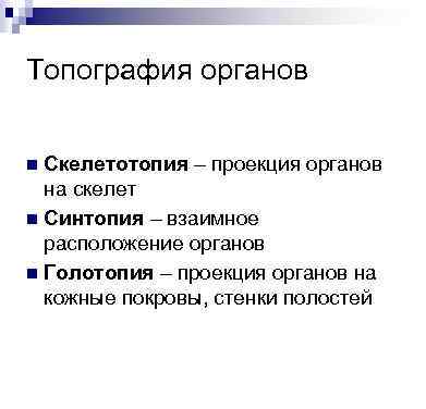 Топография органов Скелетотопия – проекция органов на скелет n Синтопия – взаимное расположение органов