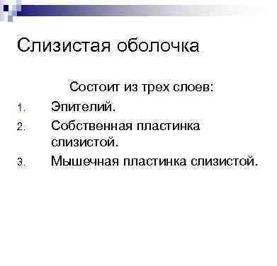 Слизистая оболочка 1. 2. 3. Состоит из трех слоев: Эпителий. Собственная пластинка слизистой. Мышечная