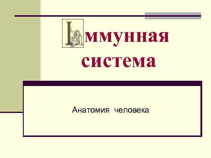 Иммунная система Анатомия человека 