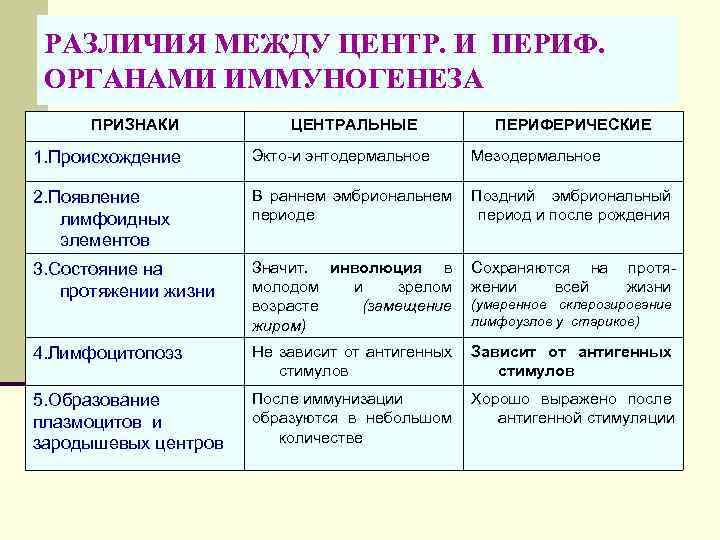 Отличие центрального. Органы иммунной системы человека таблица анатомия. Центральные и периферические органы иммуногенеза. Центральные органы кроветворения и иммуногенеза. Первичные и вторичные органы иммуногенеза.