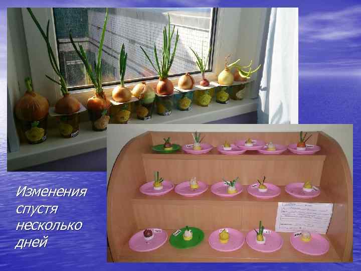 Изменения спустя несколько дней 