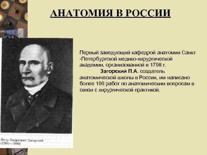 АНАТОМИЯ В РОССИИ Первый заведующий кафедрой анатомии Санкт -Петербургской медико-хирургической академии, организованной в 1798