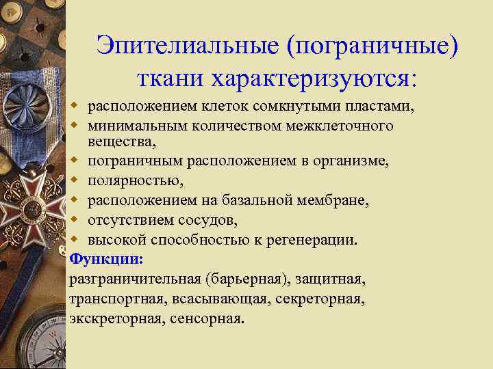 Эпителиальные (пограничные) ткани характеризуются: w расположением клеток сомкнутыми пластами, w минимальным количеством межклеточного вещества,