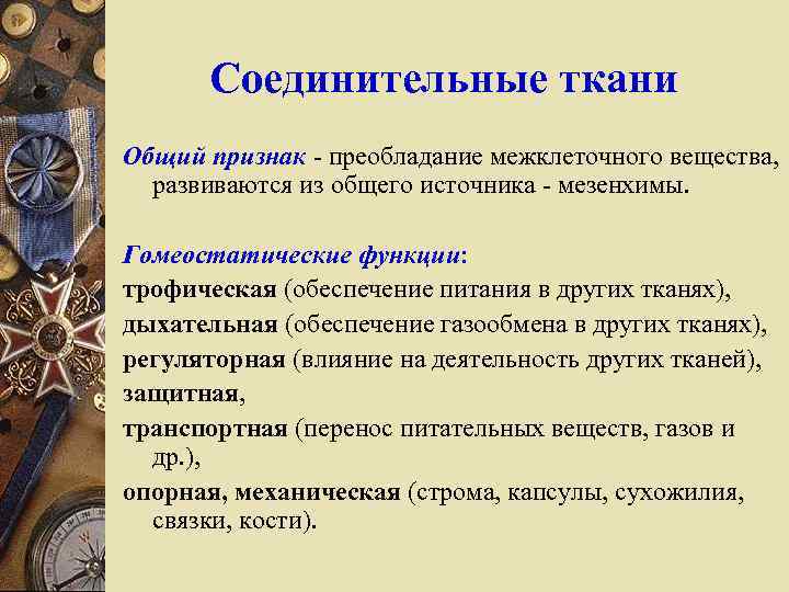 Соединительные ткани Общий признак - преобладание межклеточного вещества, развиваются из общего источника - мезенхимы.