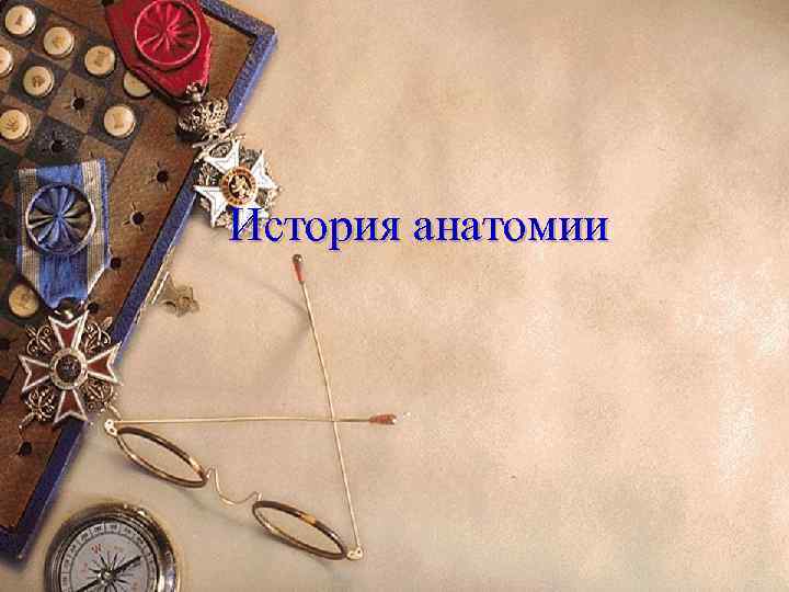 История анатомии 