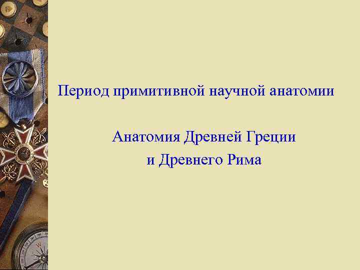 Период примитивной научной анатомии Анатомия Древней Греции и Древнего Рима 