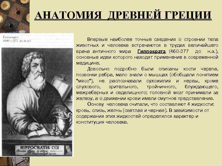 АНАТОМИЯ ДРЕВНЕЙ ГРЕЦИИ Впервые наиболее точные сведения о строении тела животных и человека встречаются