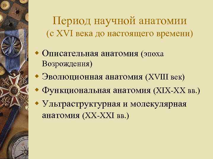 Период научной анатомии (с XVI века до настоящего времени) w Описательная анатомия (эпоха Возрождения)