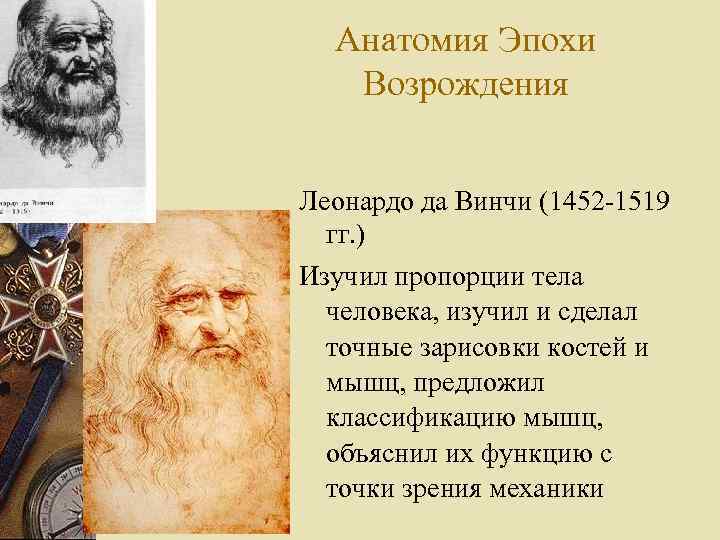 Анатомия Эпохи Возрождения Леонардо да Винчи (1452 -1519 гг. ) Изучил пропорции тела человека,