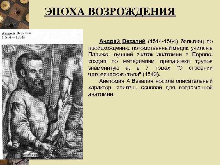 Ученые эпохи возрождения биология. Анатомия эпохи Возрождения Леонардо да Винчи Андрей Везалий. Анатомия и медицина эпохи Возрождения Андрей Везалий).. Возрождения Андрея Везалия «о строении человеческого тела». Андрей Везалий основоположник описательной анатомии.