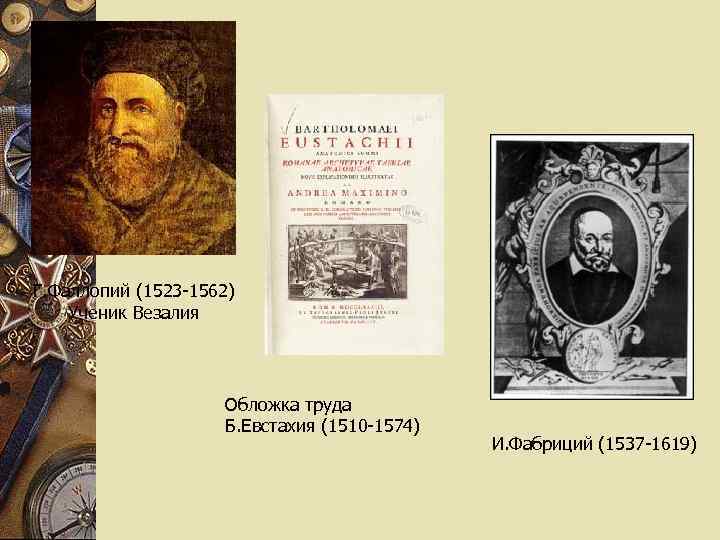 Г. Фаллопий (1523 -1562) Ученик Везалия Обложка труда Б. Евстахия (1510 -1574) И. Фабриций