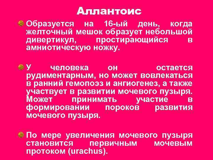 Аллантоис Образуется на 16 -ый день, когда желточный мешок образует небольшой дивертикул, простирающийся в