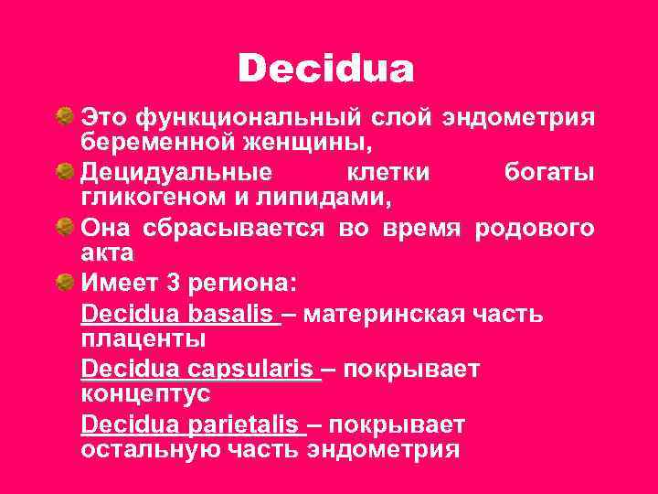 Decidua Это функциональный слой эндометрия беременной женщины, Децидуальные клетки богаты гликогеном и липидами, Она