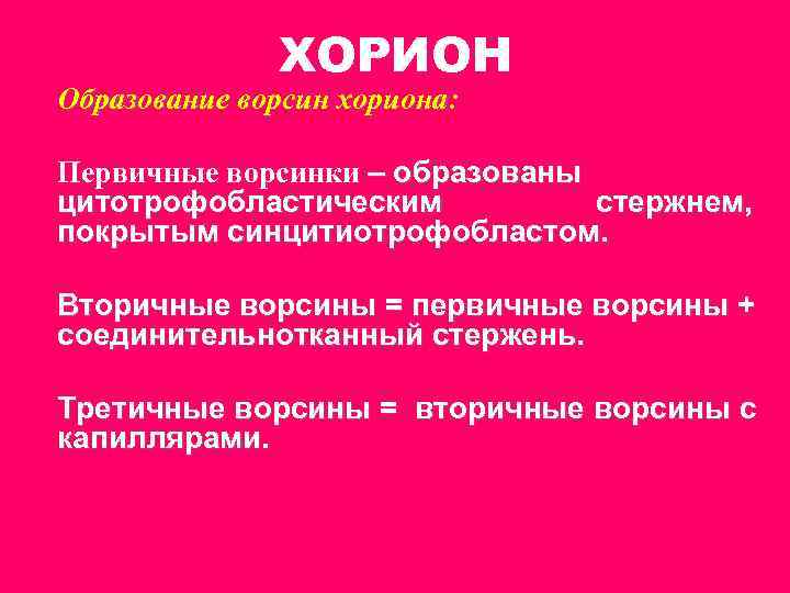 ХОРИОН Образование ворсин хориона: Первичные ворсинки – образованы цитотрофобластическим стержнем, покрытым синцитиотрофобластом. Вторичные ворсины