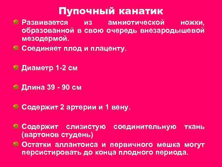 Пупочный канатик Развивается из амниотической ножки, образованной в свою очередь внезародышевой мезодермой. Соединяет плод