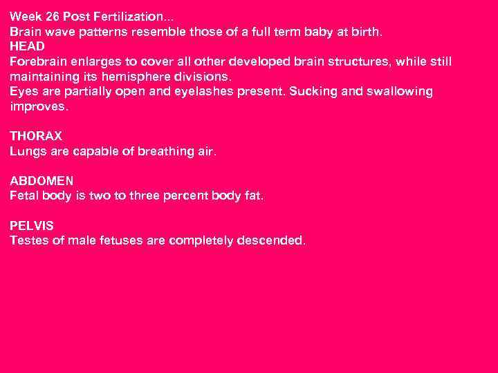 Week 26 Post Fertilization. . . Brain wave patterns resemble those of a full