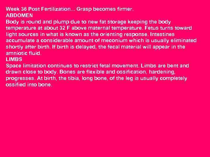 Week 36 Post Fertilization. . . Grasp becomes firmer. ABDOMEN Body is round and