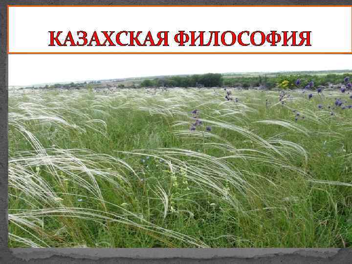 КАЗАХСКАЯ ФИЛОСОФИЯ 