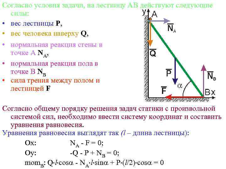 Согласно условия задачи, на лестницу АВ действуют следующие силы: • вес лестницы Р, •