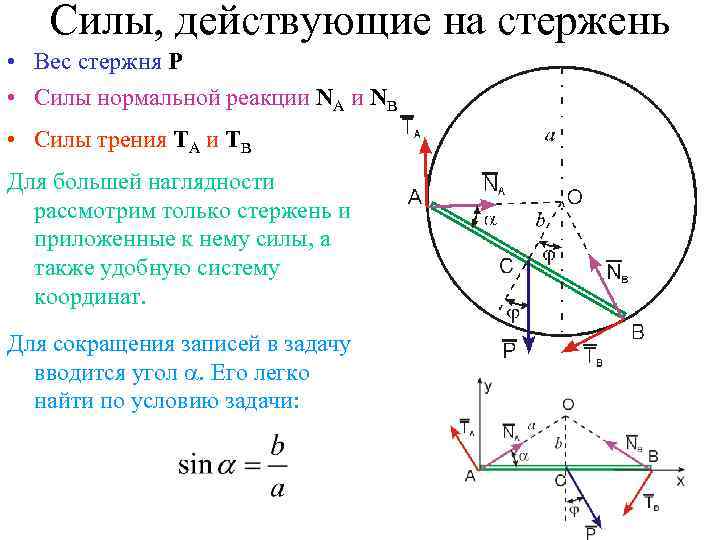 Силы, действующие на стержень • Вес стержня P • Cилы нормальной реакции NA и