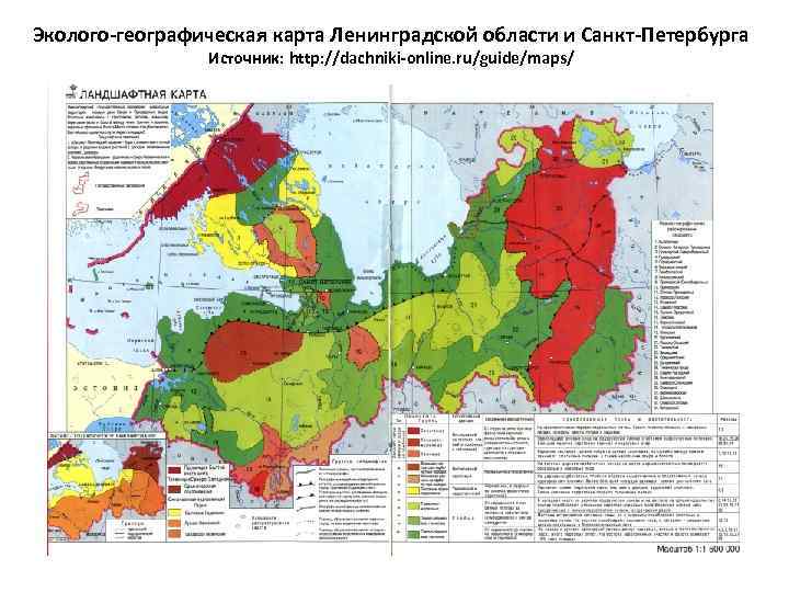 Эколого-географическая карта Ленинградской области и Санкт-Петербурга Источник: http: //dachniki-online. ru/guide/maps/ 