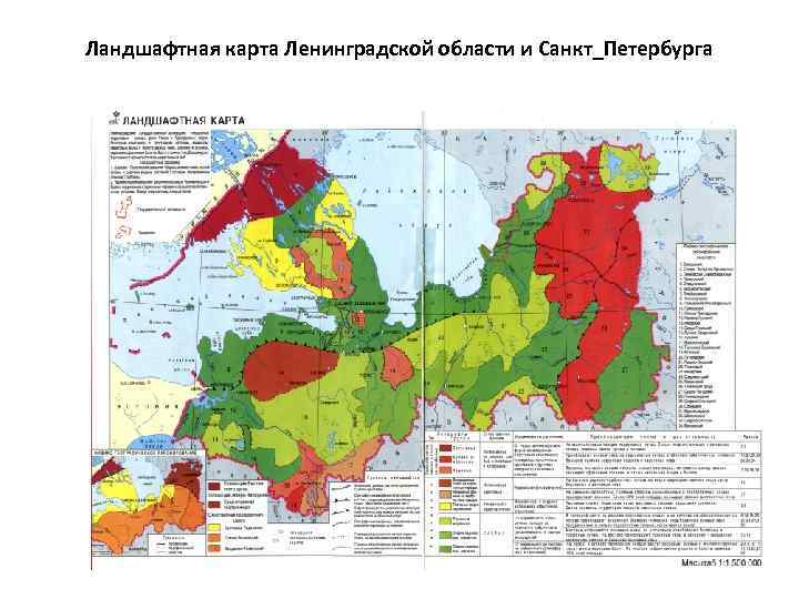 Ландшафтная карта Ленинградской области и Санкт_Петербурга 