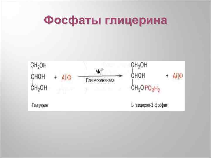 Фосфаты глицерина 