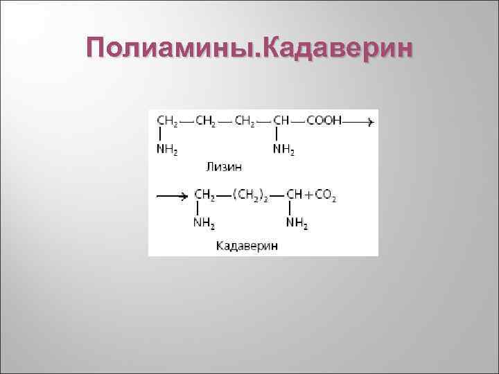 Полиамины. Кадаверин 