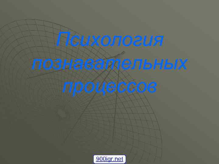 Психология познавательных процессов 900 igr. net 