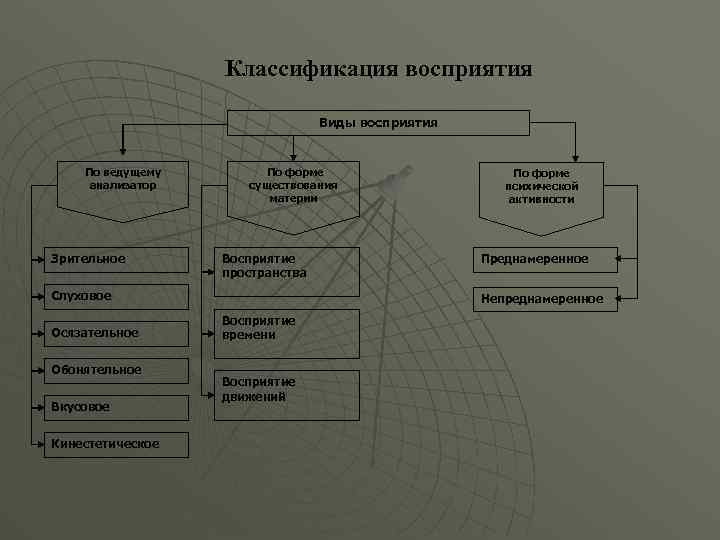 Классификация восприятия Виды восприятия По ведущему анализатор Зрительное По форме существования материи Восприятие пространства