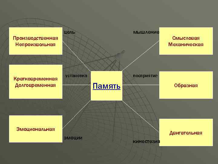 Производственная Непроизвольная Кратковременная Долговременная цель мышление установка восприятие Память Образная Эмоциональная эмоции Смысловая Механическая