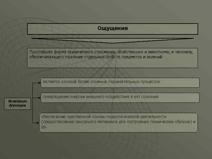 Формы ощущений. Простейшая форма психического отражения.. Формы психического отражения присущие человеку. Формы психологического отражения присущие человеку. Простейшие формы отражения психики.