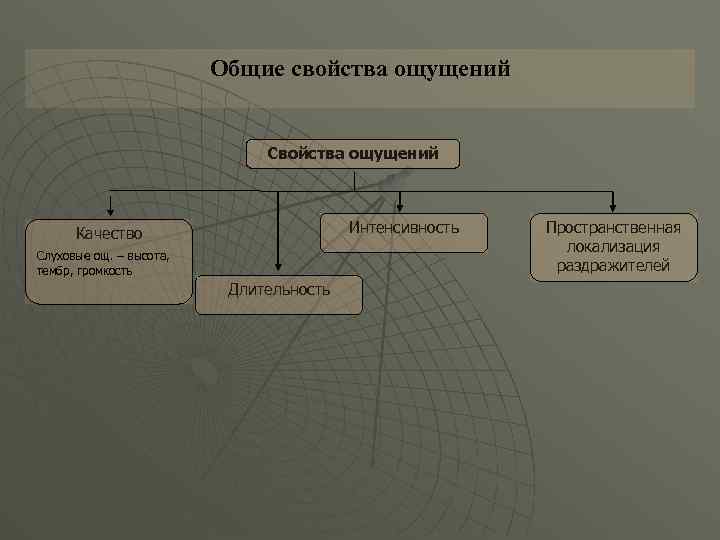 Общие свойства ощущений Свойства ощущений Интенсивность Качество Слуховые ощ. – высота, тембр, громкость Длительность