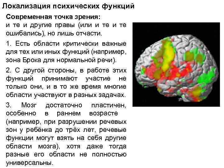 Нарушение когнитивных функций мозга. Локализация психических функций. Локализация функций мозга. Локализация высших психических функций в коре головного мозга. Когнитивные функции мозга.