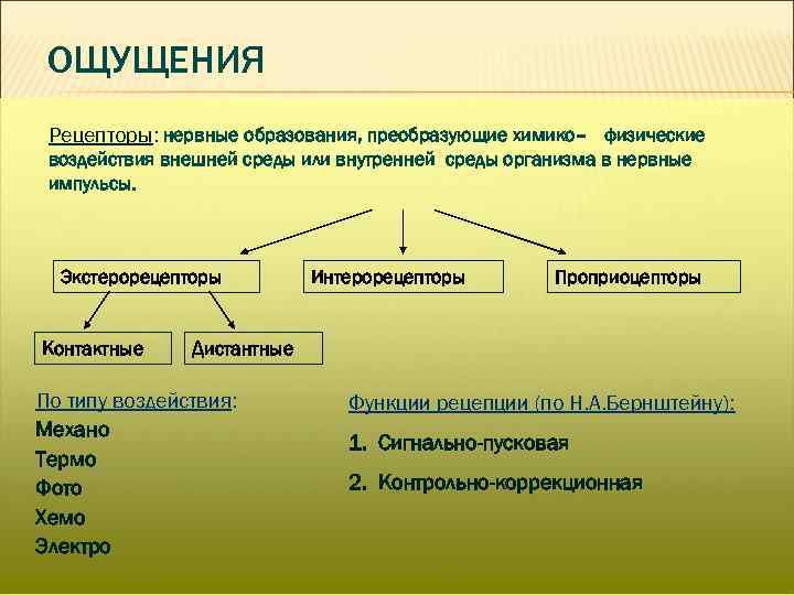 ОЩУЩЕНИЯ Рецепторы: нервные образования, преобразующие химико– физические воздействия внешней среды или внутренней среды организма