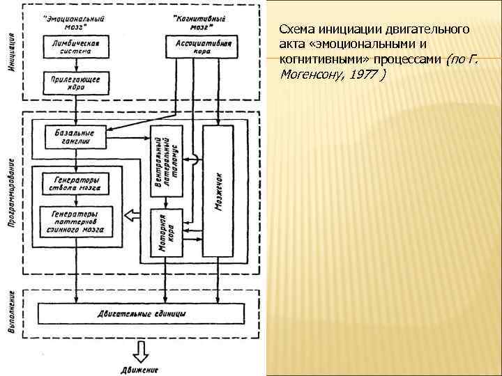 Схема двигательного акта нервной системы