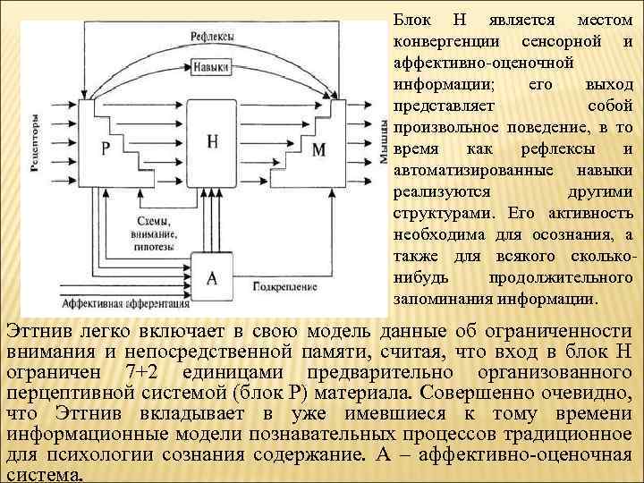 Блок H является местом конвергенции сенсорной и аффективно оценочной информации; его выход представляет собой