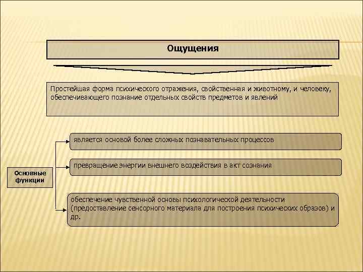 Ощущения Простейшая форма психического отражения, свойственная и животному, и человеку, обеспечивающего познание отдельных свойств