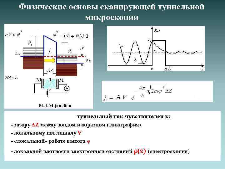Физические основы сканирующей туннельной микроскопии туннельный ток чувствителен к: - зазору ΔZ между зондом
