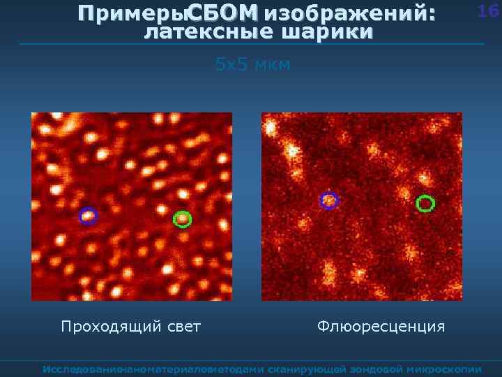 Примеры. СБОМ изображений: латексные шарики 16 5 х5 мкм Проходящий свет Флюоресценция Исследование наноматериалов