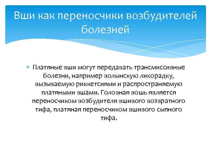 Вши как переносчики возбудителей болезней Платяные вши могут передавать трансмиссивные болезни, например волынскую лихорадку,